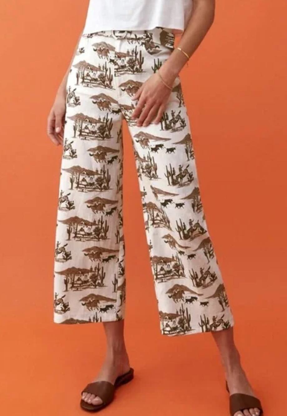 Reformation Brown Riza Sonora Cowboy Western Crop Linen Pants Size 8